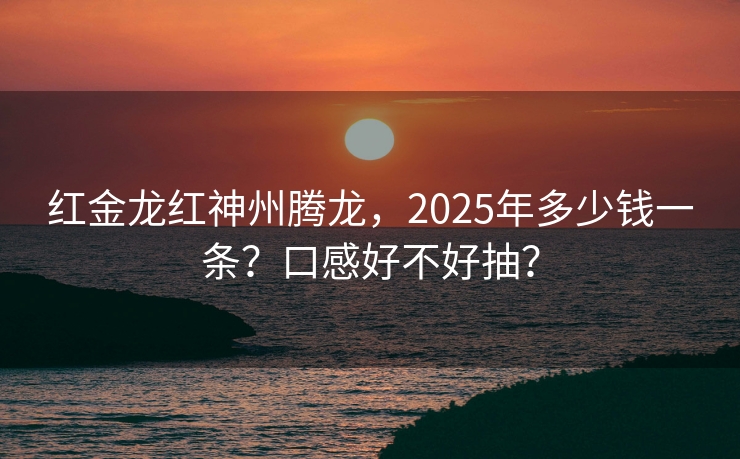 红金龙红神州腾龙，2025年多少钱一条？口感好不好抽？