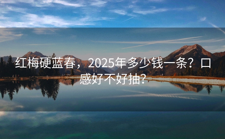 红梅硬蓝春，2025年多少钱一条？口感好不好抽？