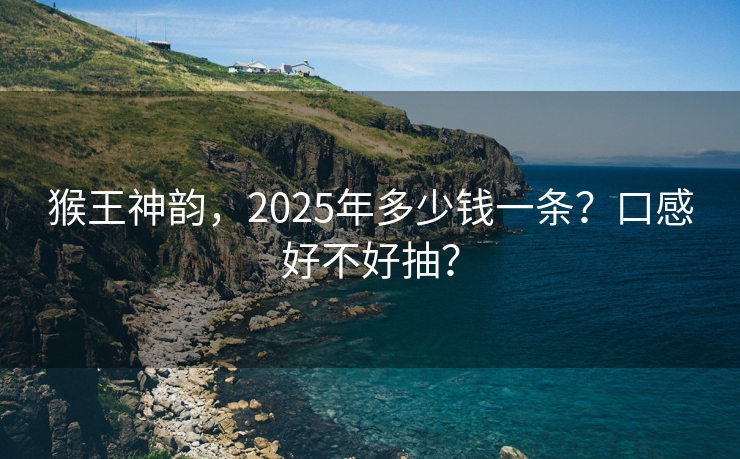 猴王神韵，2025年多少钱一条？口感好不好抽？