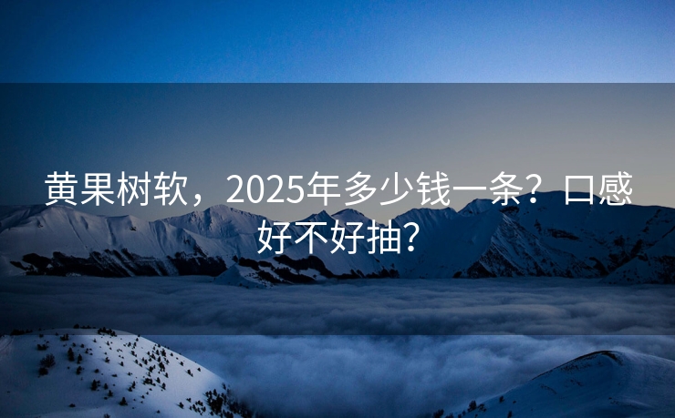 黄果树软，2025年多少钱一条？口感好不好抽？