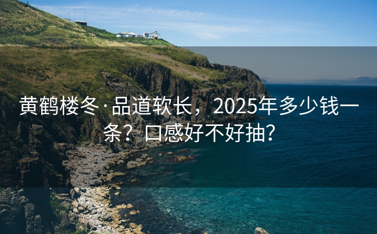黄鹤楼冬·品道软长，2025年多少钱一条？口感好不好抽？