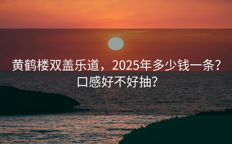 黄鹤楼双盖乐道，2025年多少钱一条？口感好不好抽？