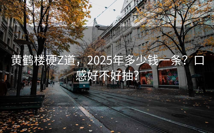 黄鹤楼硬Z道，2025年多少钱一条？口感好不好抽？
