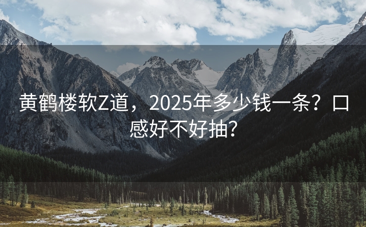 黄鹤楼软Z道，2025年多少钱一条？口感好不好抽？