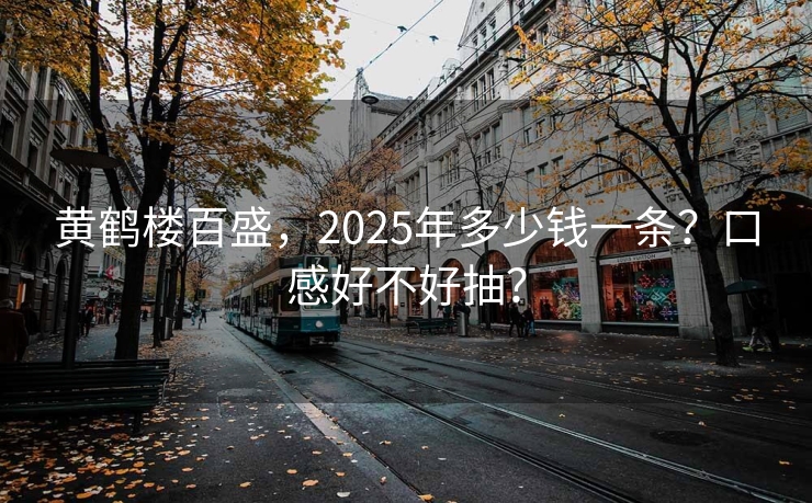 黄鹤楼百盛，2025年多少钱一条？口感好不好抽？