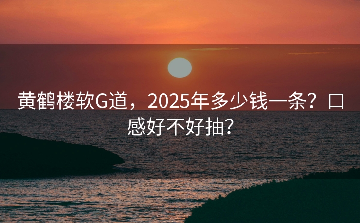 黄鹤楼软G道，2025年多少钱一条？口感好不好抽？