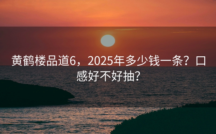 黄鹤楼品道6，2025年多少钱一条？口感好不好抽？