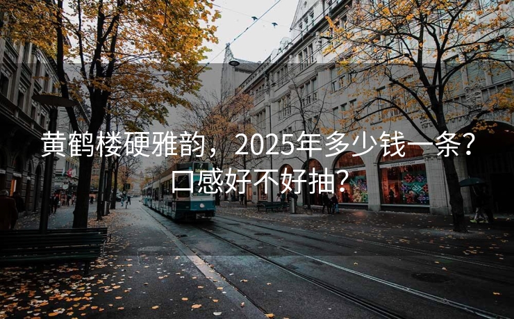 黄鹤楼硬雅韵，2025年多少钱一条？口感好不好抽？