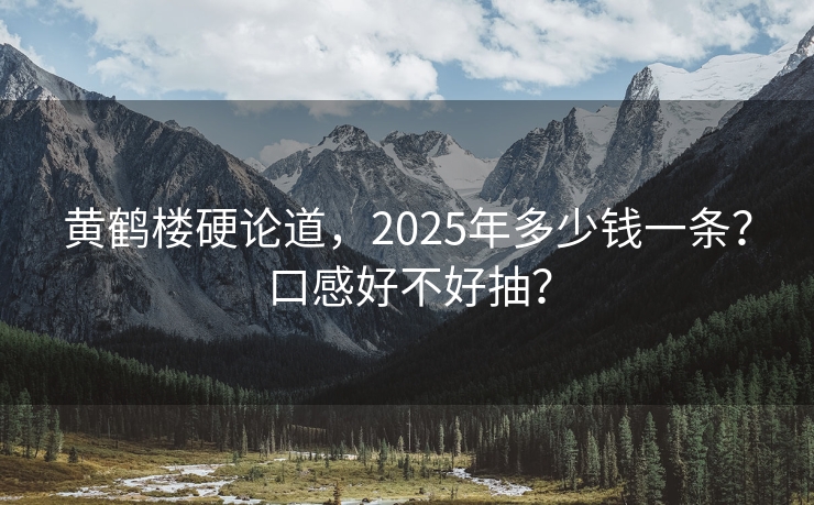 黄鹤楼硬论道，2025年多少钱一条？口感好不好抽？