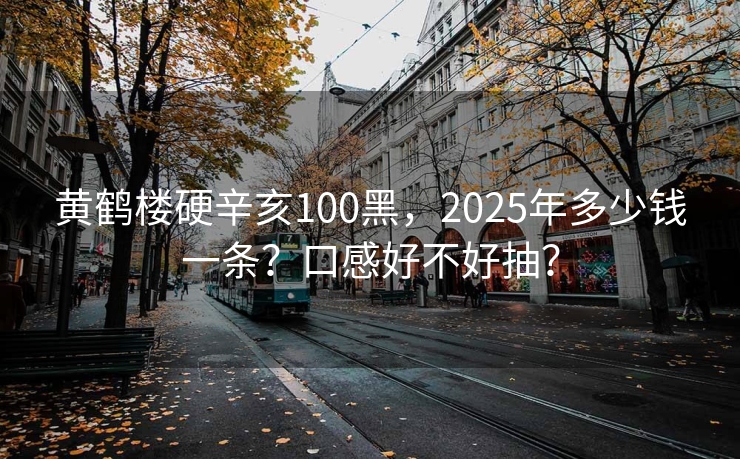 黄鹤楼硬辛亥100黑，2025年多少钱一条？口感好不好抽？