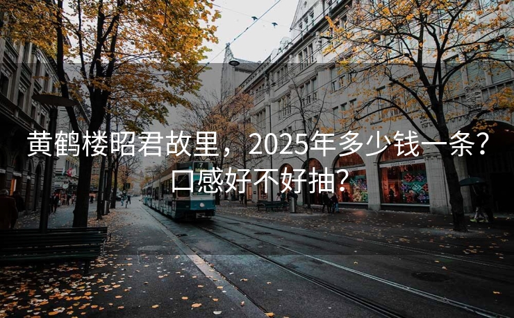 黄鹤楼昭君故里，2025年多少钱一条？口感好不好抽？