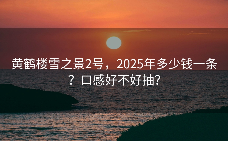 黄鹤楼雪之景2号，2025年多少钱一条？口感好不好抽？