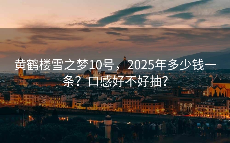 黄鹤楼雪之梦10号，2025年多少钱一条？口感好不好抽？