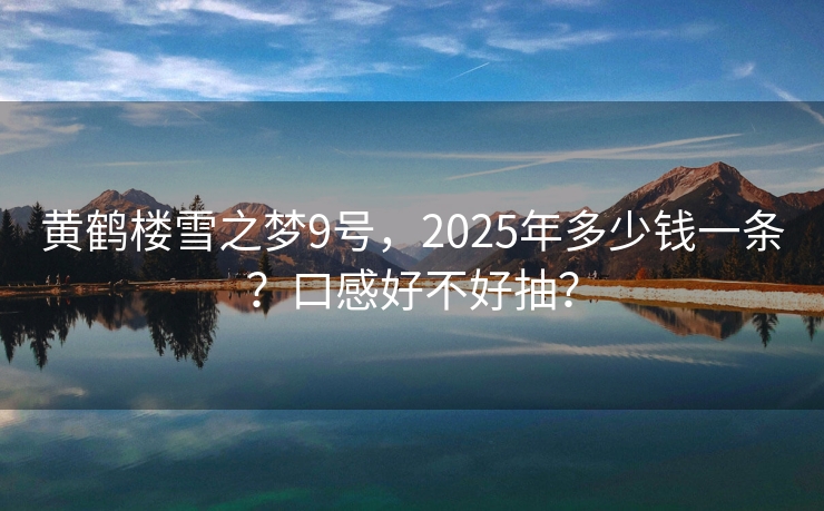 黄鹤楼雪之梦9号，2025年多少钱一条？口感好不好抽？