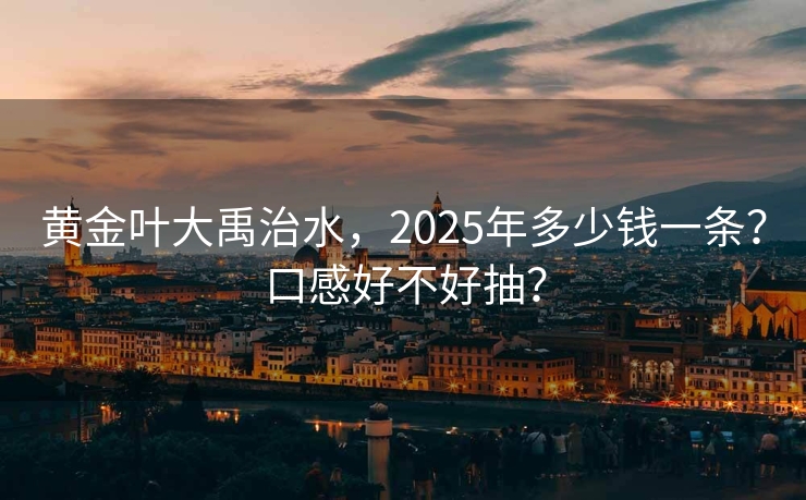 黄金叶大禹治水，2025年多少钱一条？口感好不好抽？