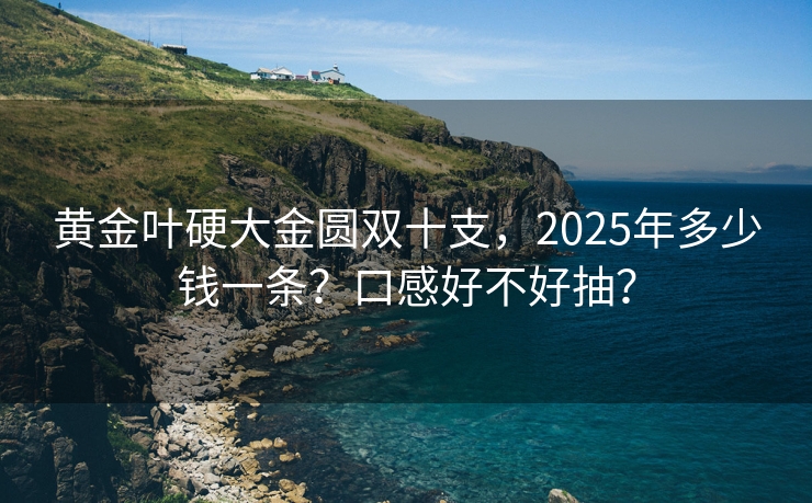 黄金叶硬大金圆双十支，2025年多少钱一条？口感好不好抽？