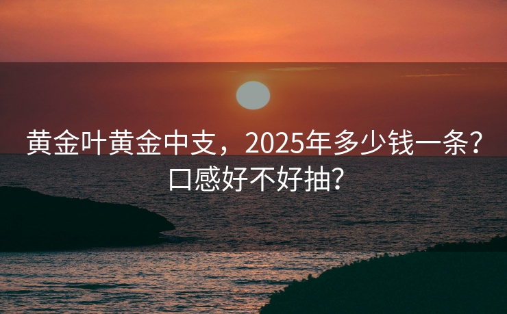 黄金叶黄金中支，2025年多少钱一条？口感好不好抽？