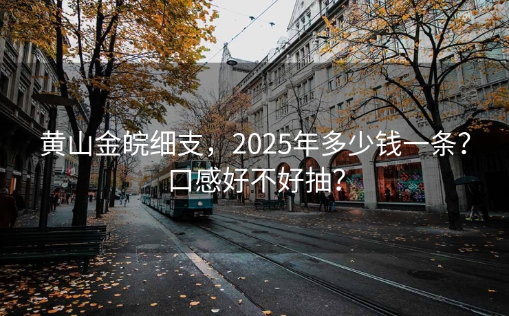 黄山金皖细支，2025年多少钱一条？口感好不好抽？