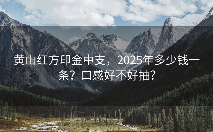 黄山红方印金中支，2025年多少钱一条？口感好不好抽？