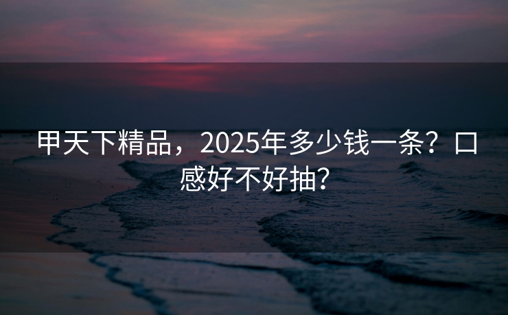 甲天下精品，2025年多少钱一条？口感好不好抽？