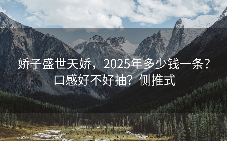 娇子盛世天娇，2025年多少钱一条？口感好不好抽？侧推式