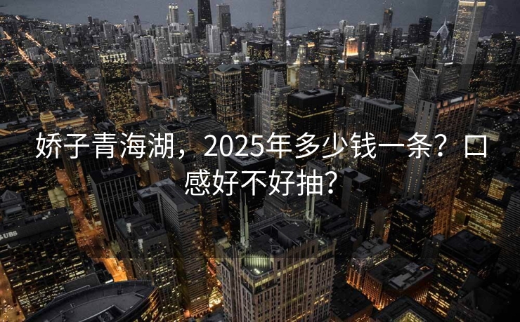 娇子青海湖，2025年多少钱一条？口感好不好抽？