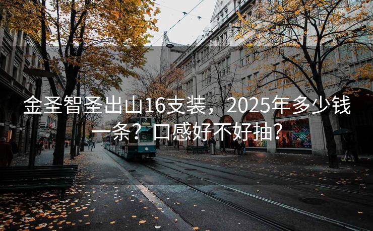 金圣智圣出山16支装，2025年多少钱一条？口感好不好抽？