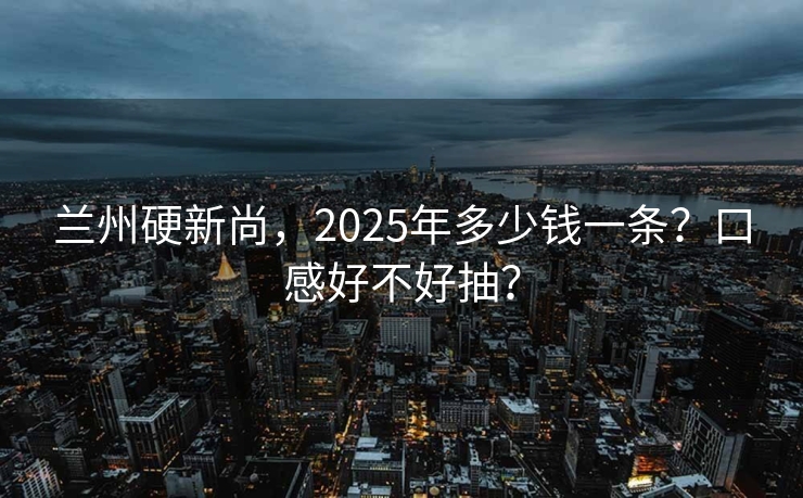 兰州硬新尚，2025年多少钱一条？口感好不好抽？